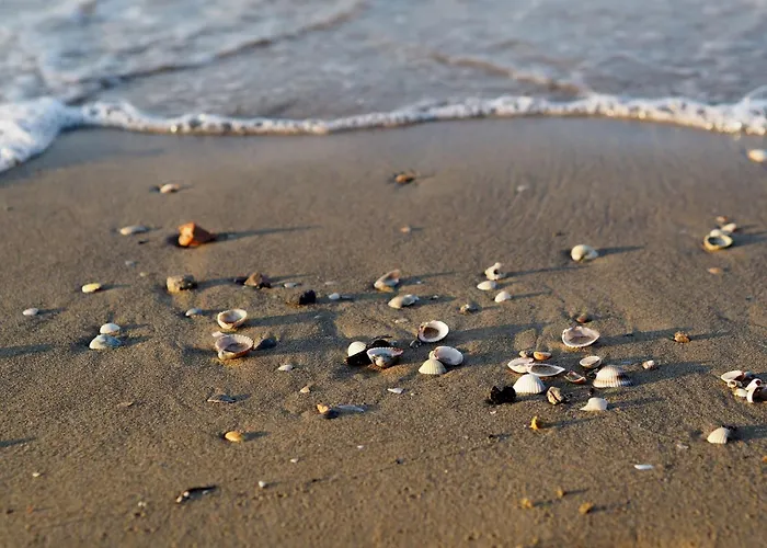 Seafront In Lejlighed Bibione