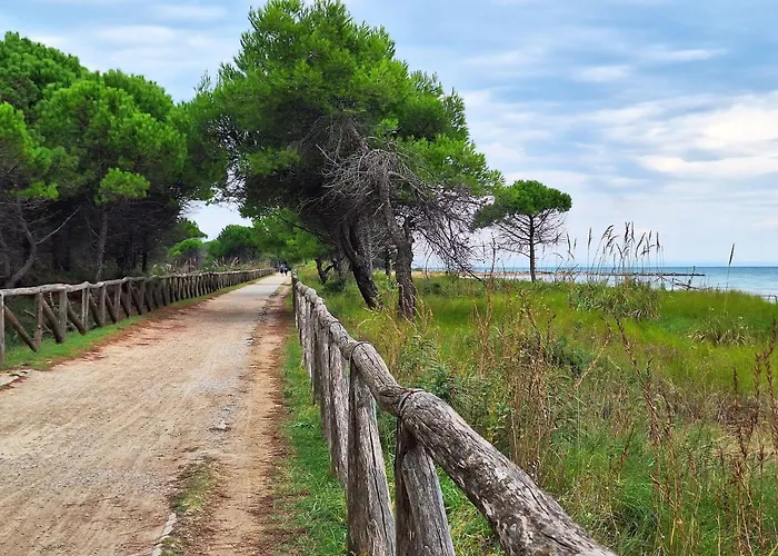 Seafront In Bibione