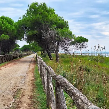Seafront In Bibione